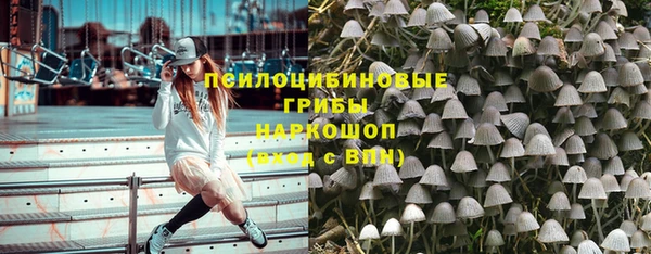 крисы Белоозёрский