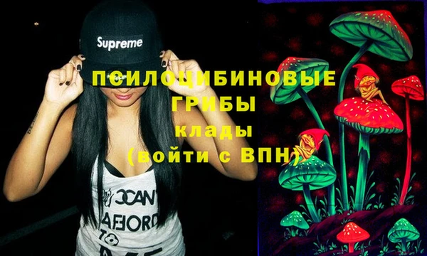 крисы Белоозёрский