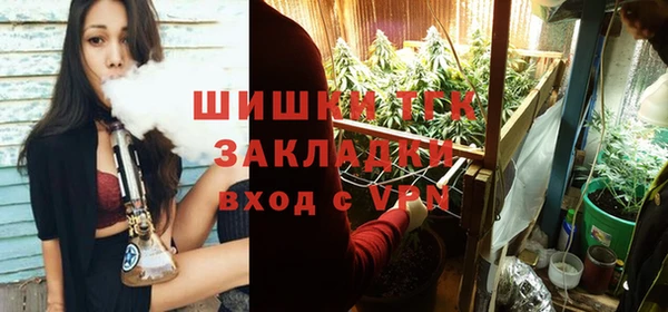 крисы Белоозёрский